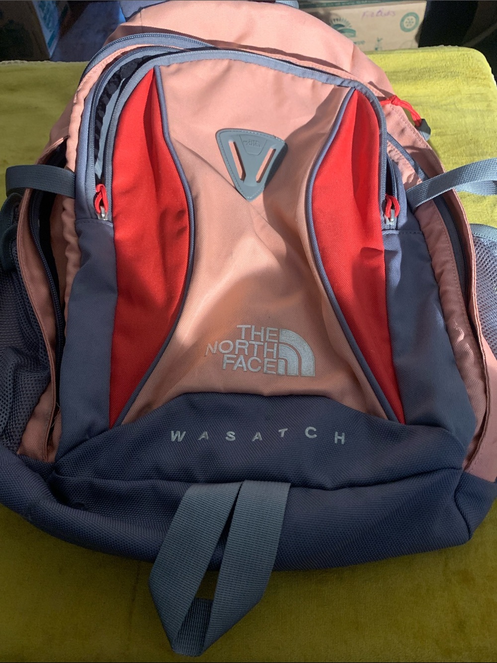 The North Face Wasatch Backpack in Pink, Red & Gray